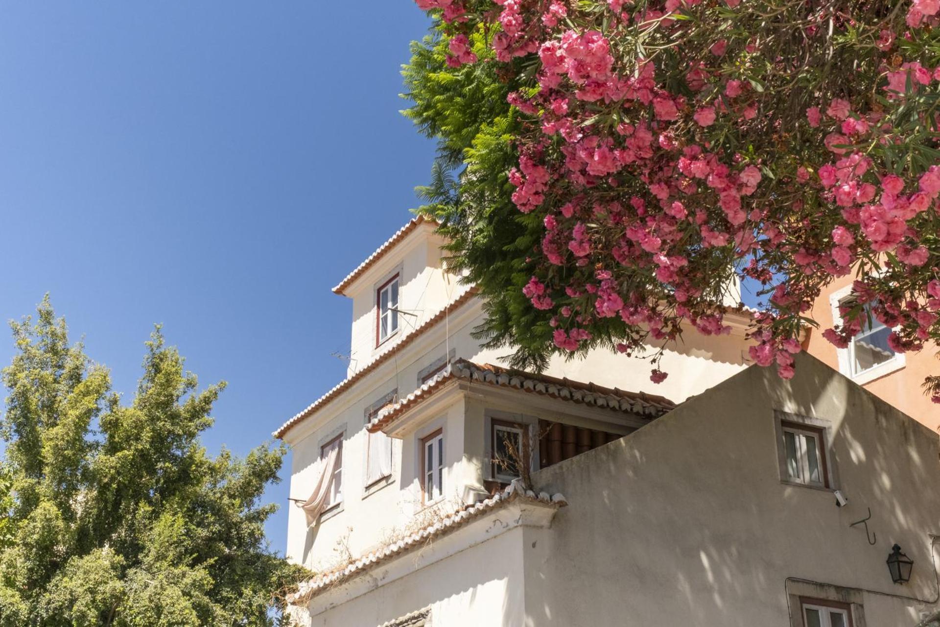 Duplex No Centro Historico De Lisboa - Ttl321 Apartment Exterior photo